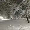 Marlene Whatley - @marlene.whatley - TikTok