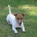 Marlene Wheatley - Facebook