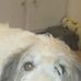 Marlene Wheatley - Facebook