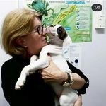 Marlene Wilhelm Eilers - @marleneveterinaria - Instagram