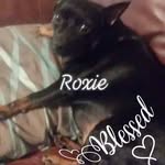 Marlene Riley Willis - @marlenewillis1727 - Instagram