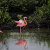 willismarlene - @willismarlene - TikTok