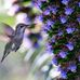 Marlene Wise - Facebook