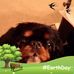 Marlene Wise - Facebook
