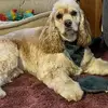 Marlene Jones Workman - @marlene.jones.wor - TikTok