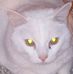 Marlene Workman - Facebook
