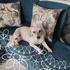 Marleny Arango - @marleny.arango1 - TikTok