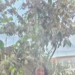 Marleny Ballesteros Carrasco - Facebook