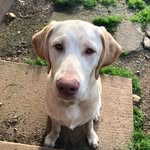 Marley Alexander - @m_bigman9 - Instagram