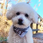 Marley Alexander - @marleyoodle - Instagram