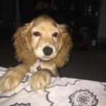 Marley Alexander - @marley_arismendi - Instagram