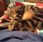 Marley Bauer - Facebook