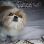 Marley Beach - @beach.marley - Instagram