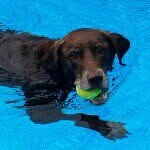 @marley_beach - Instagram