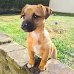Marley Bean - @marleybean20 - Instagram