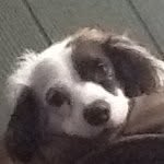 Marley Bean - @marley_bean - Instagram