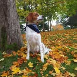 Marley Beans - @themarvellousmarleybeans - Instagram