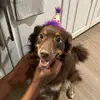 Marley Beena Weena - @m.arley.bean - TikTok