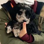 Marley - @marley_.bean - Instagram