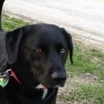 marley - @marley_bean_ - Instagram