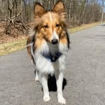 Marley - @marleybeannn - Instagram