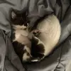 Marley&bean - @marleyandbean - TikTok
