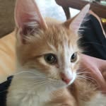 Cooper - @cooper.marley_ - Instagram