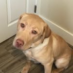 Cooper - @cooper__marley - Instagram