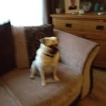 Marley Cooper - @marley_1234567 - Instagram