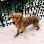 marley cooper - @marleyycooper - Instagram