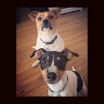 Marley Cooper - @marley.cooper_ - Instagram