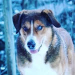 Marley Cooper - @marleyboy53 - Instagram