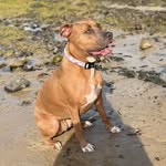 Marley Cooper - @marleys_adventures2021 - Instagram