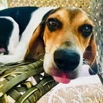 Marley Cooper - @marleycooperstpete - Instagram