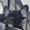 Marley Cooper - @marleycooper526 - TikTok