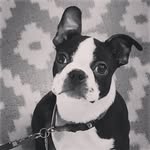 Marley Cooper Gromadzki - @littlemarleycooper - Instagram