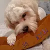 Marleycooper0o - @marleycooper0o - TikTok