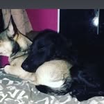 Marley&Cooper💙💙 - @_marley_cooperxo - Instagram