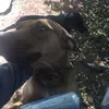 marley..cooper - @marley..cooper - TikTok
