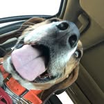 Marley Crane - @partymarley - Instagram