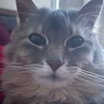 Marley Douglas - @marleydouglas7 - Instagram