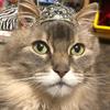 Marley Douglas - @marley.douglas - TikTok