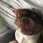 Marley Elliott - @marleyelliott26 - Instagram