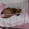 harmonie_marley_love - @harmonie_marley_love - TikTok