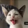 marleykleinerteufel - @marleymarleymarle3 - TikTok