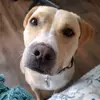 Marley Martin - @hey.guys.its.marley - TikTok
