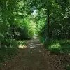 Marley Martin - @marley.martin52 - TikTok