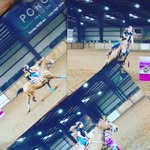marley McLaughlin - @marleyand_bucky - Instagram