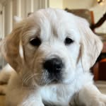 Marley Nash - @marleyyyandmeeee - Instagram