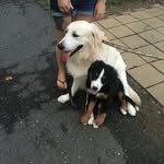 Marley Nash and Miles Nash - @marleyandmiles - Instagram
